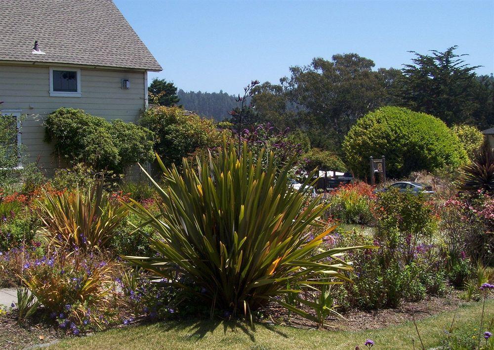 Didjeridoo Dreamtime Inn Mendocino Exterior photo